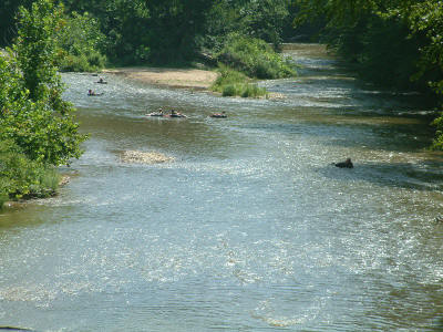Weekday River